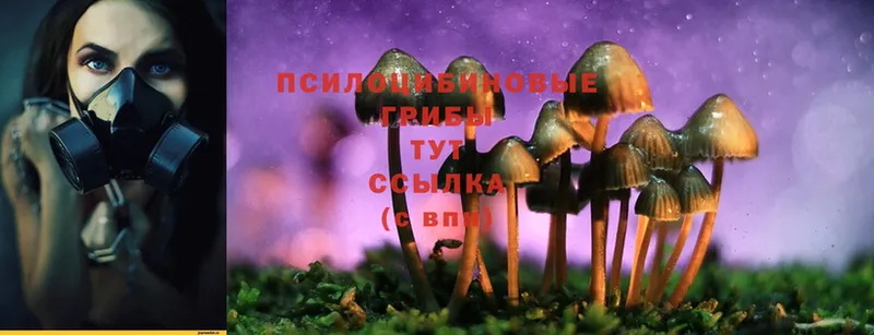 купить наркотики сайты  Ишимбай  Псилоцибиновые грибы MAGIC MUSHROOMS 